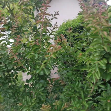 La Perlilounette Dom wakacyjny *