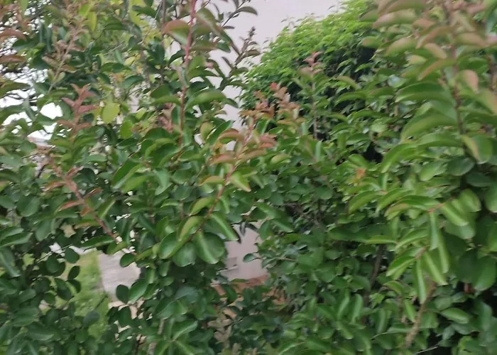 La Perlilounette Dom wakacyjny *